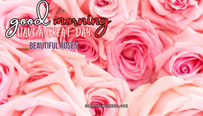 good morning roses images