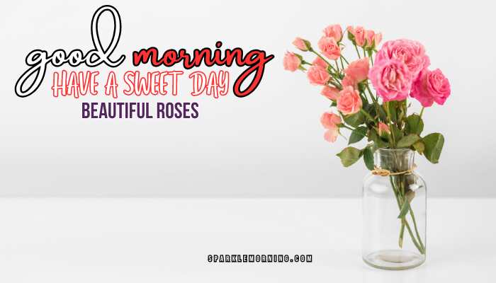 good morning roses images