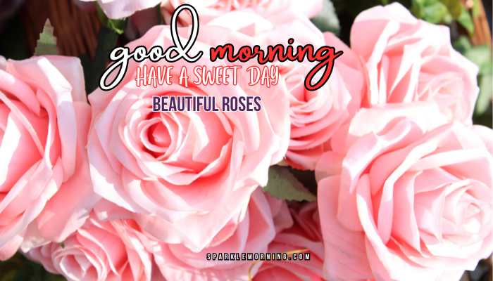 good morning roses images
