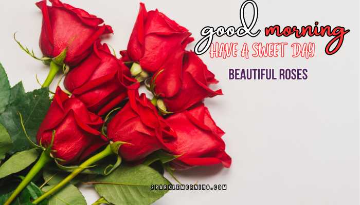 good morning roses images