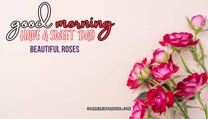 good morning roses images