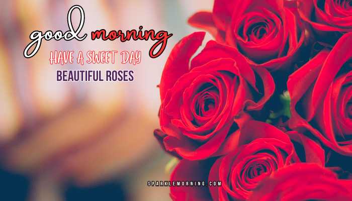 good morning roses images