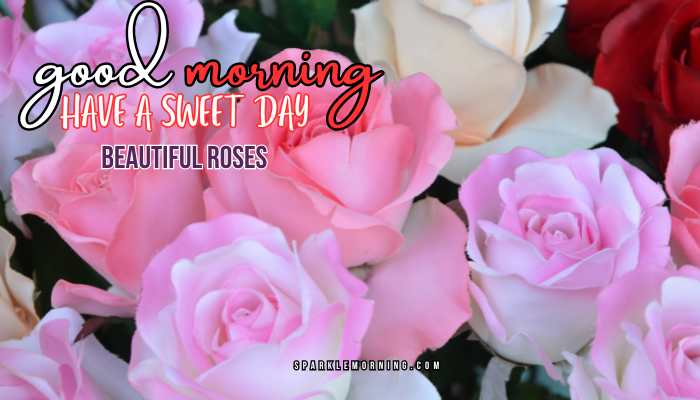 good morning roses images