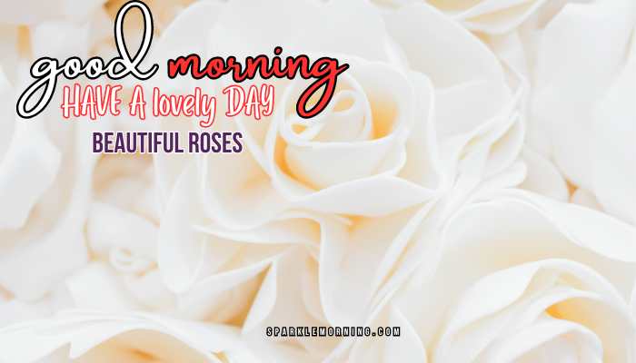 good morning roses images