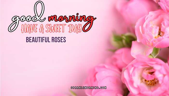 good morning roses images