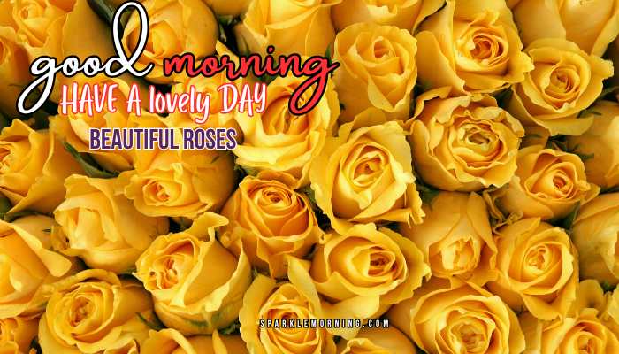 good morning roses images