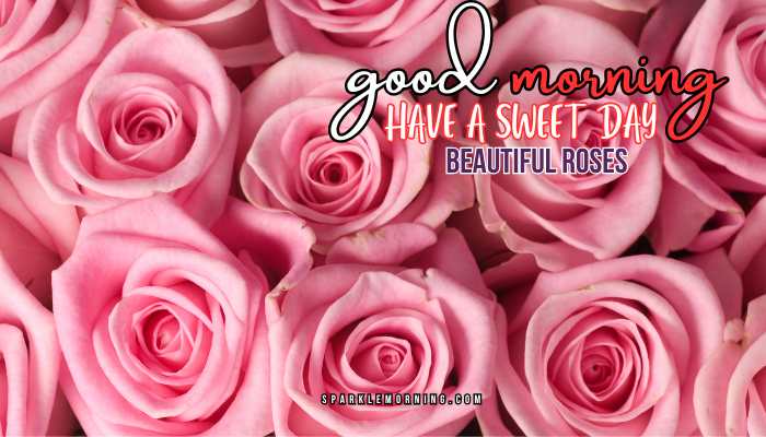 good morning roses images