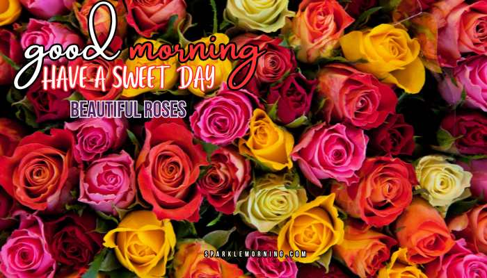 good morning roses images
