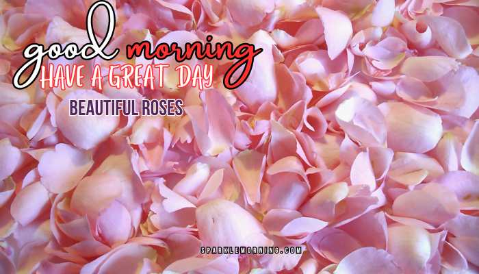 good morning roses images