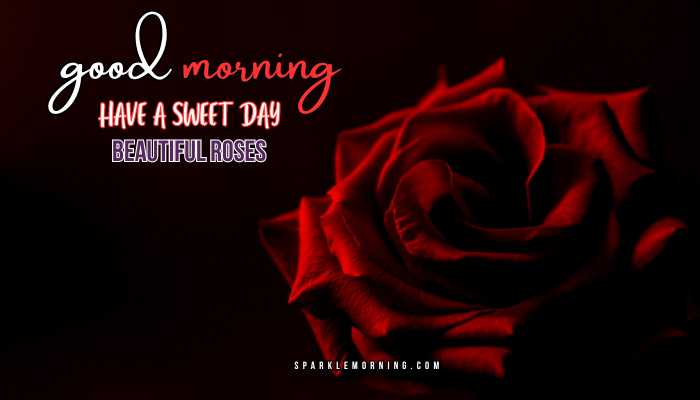 good morning roses images