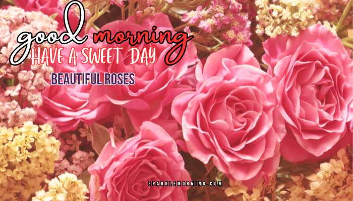 good morning roses images