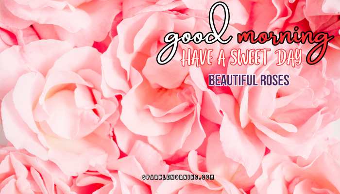 good morning roses images