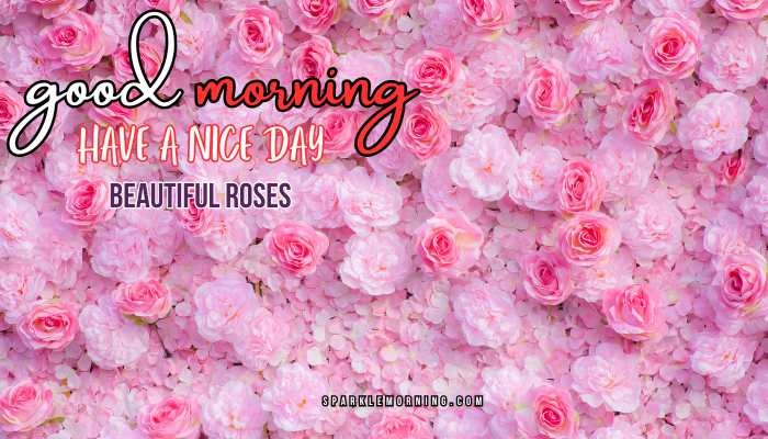 good morning roses images