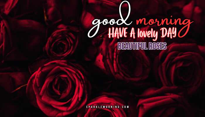 good morning roses images