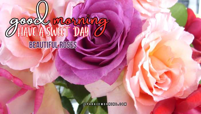 good morning roses images