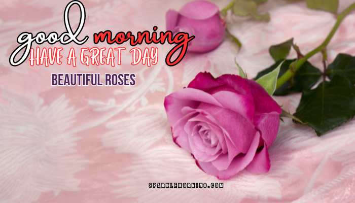 good morning roses images