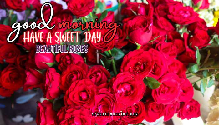 good morning roses images