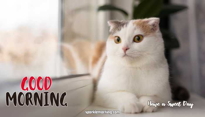 good morning cute images