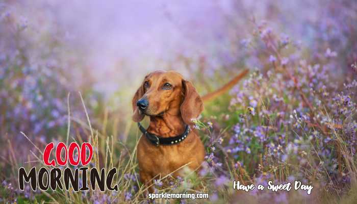 good morning cute images