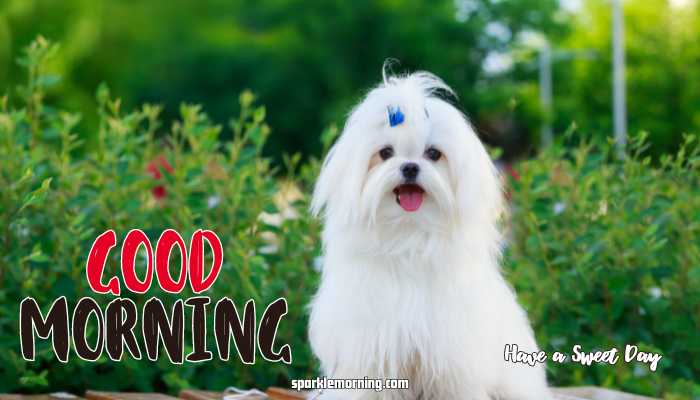 good morning cute images