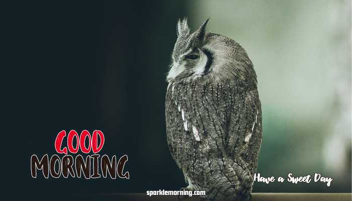 good morning cute images