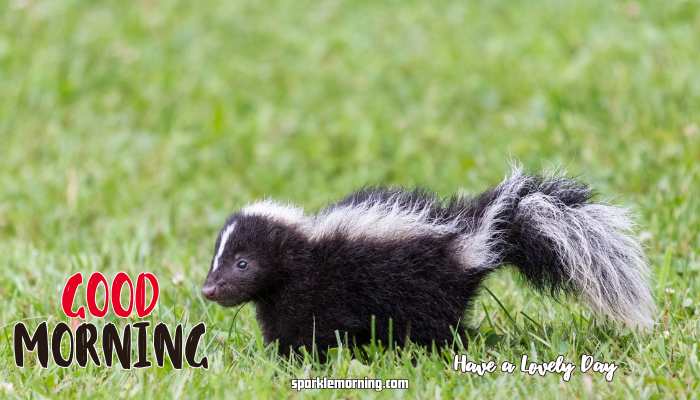 good morning cute images