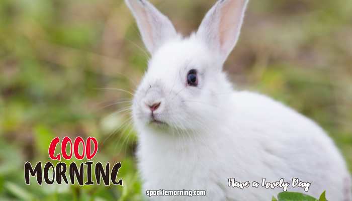 good morning cute images