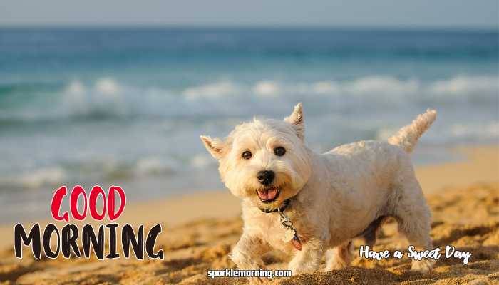 good morning cute images