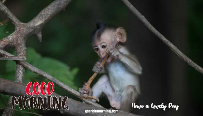 good morning cute images