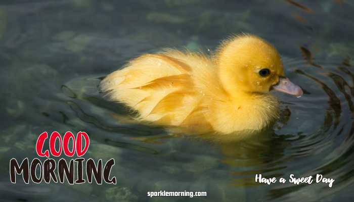 good morning cute images