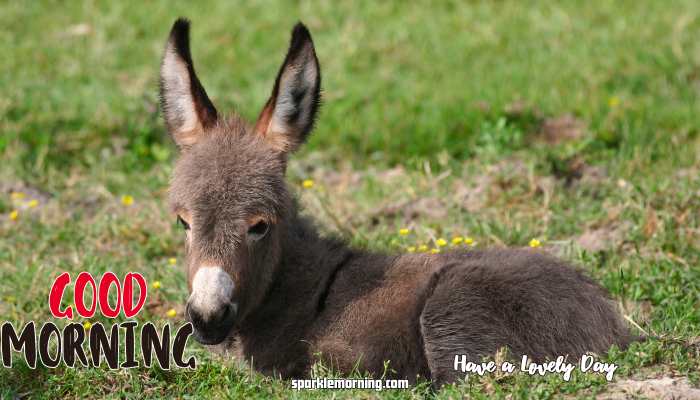 good morning cute images