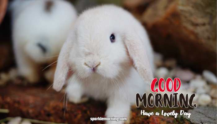 good morning cute images