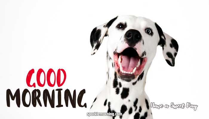 Good Morning Cute Images