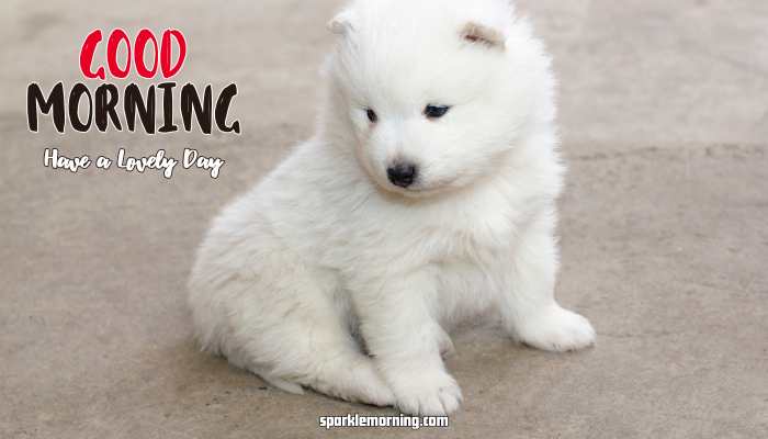 good morning cute images