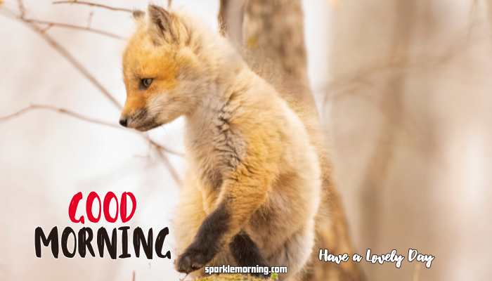 Good Morning Cute Images