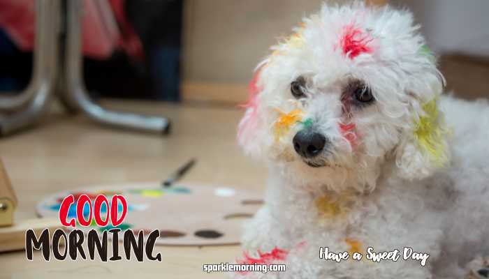 Good Morning Cute Images