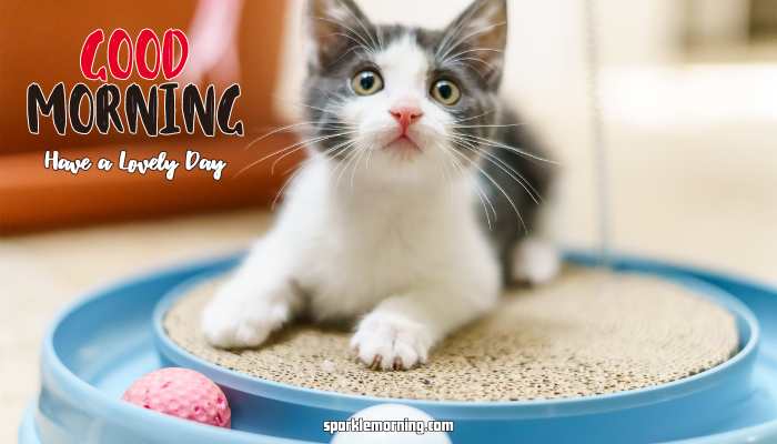 Good Morning Cute Images