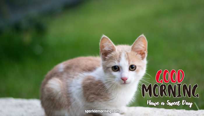 good morning cute images