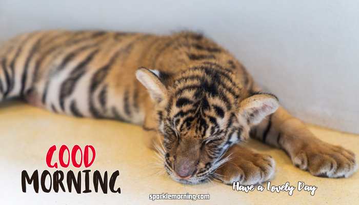 Good Morning cute Images