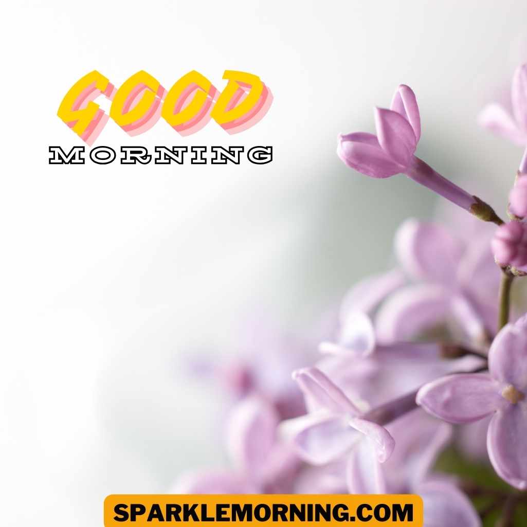 Good Morning Purple Flower Images