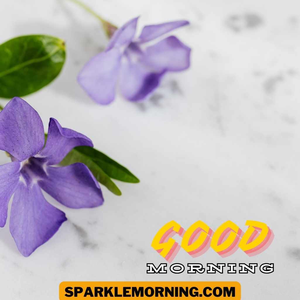 Good Morning Purple Flower Images