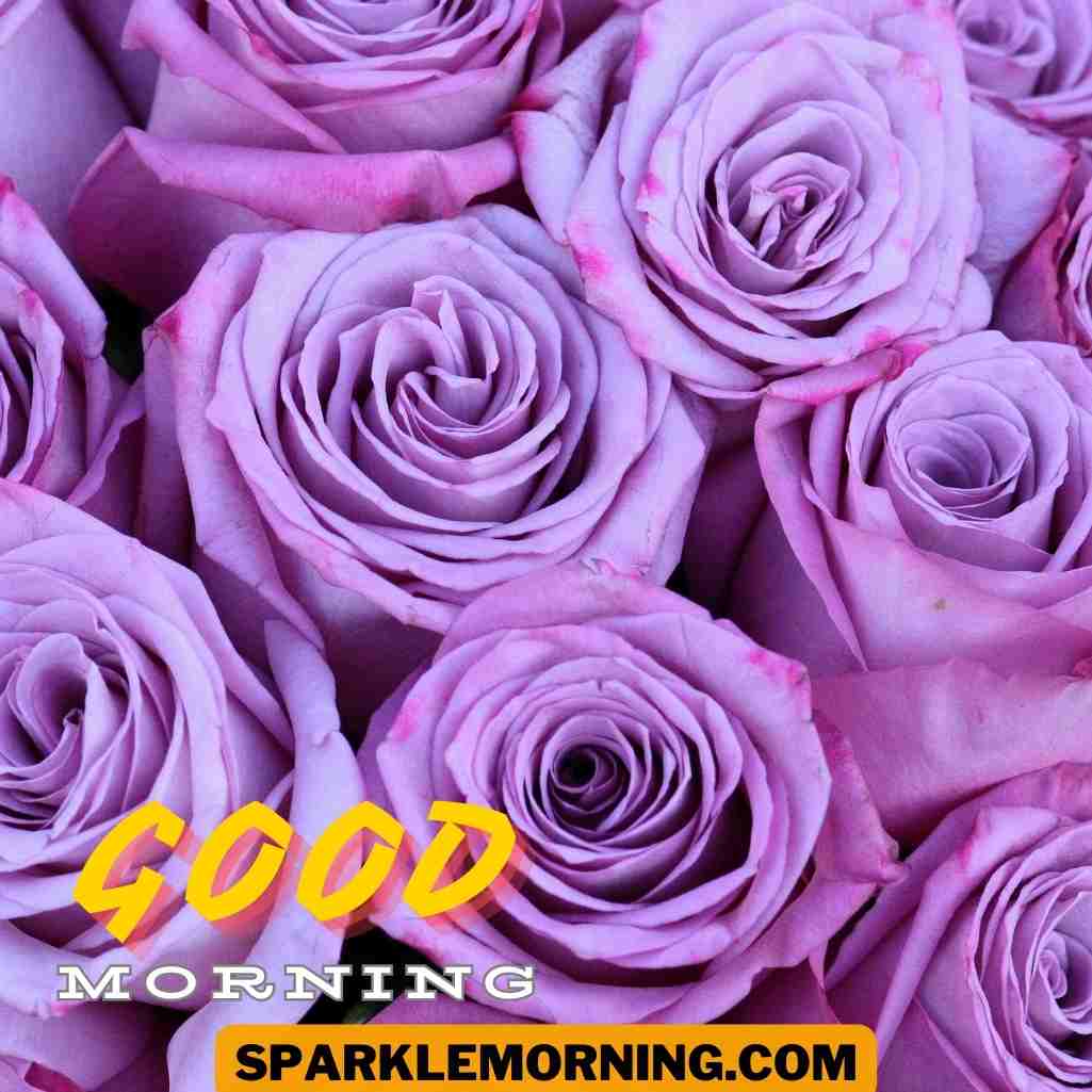 Good Morning Purple Flower Images