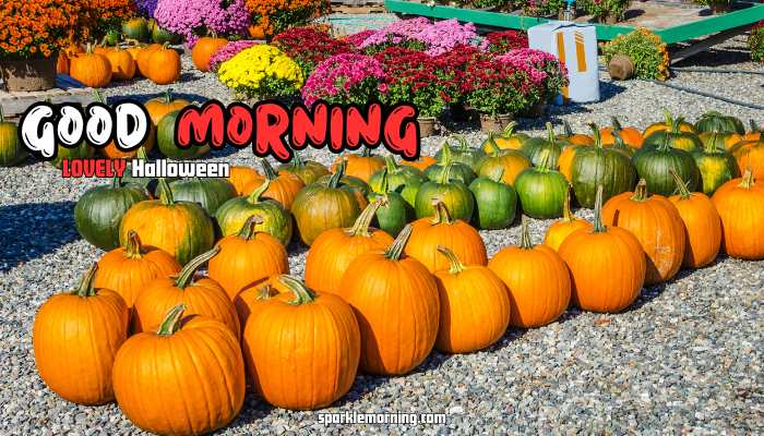 good morning halloween images