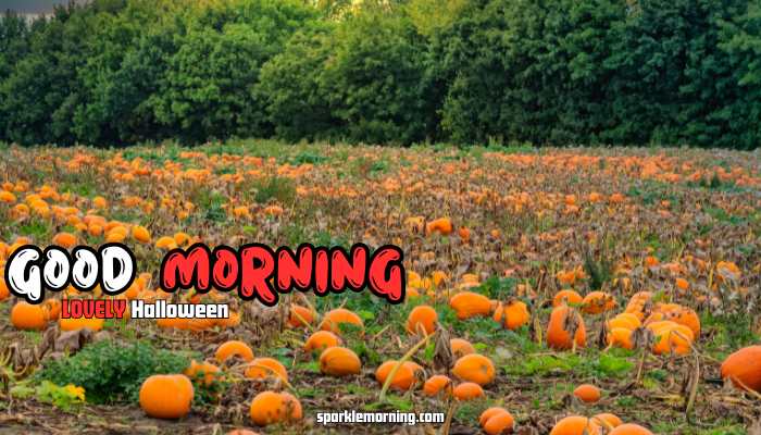good morning halloween images