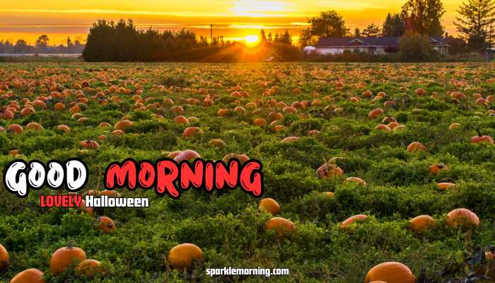 good morning halloween images