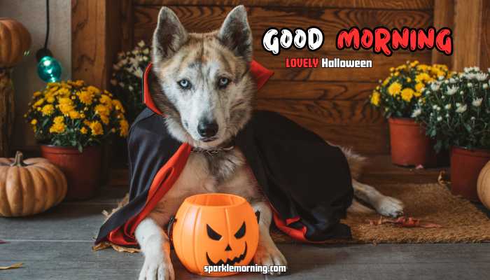 good morning halloween images