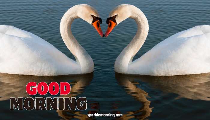 good morning heart images