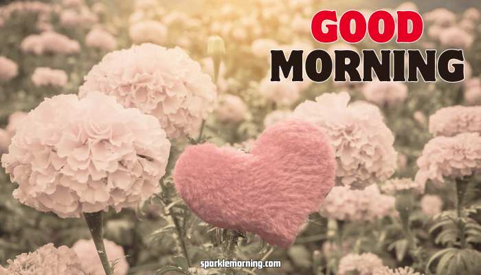 good morning heart images