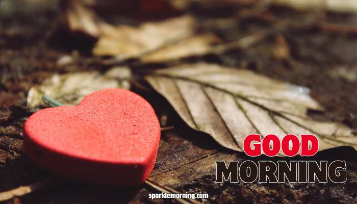 good morning heart images