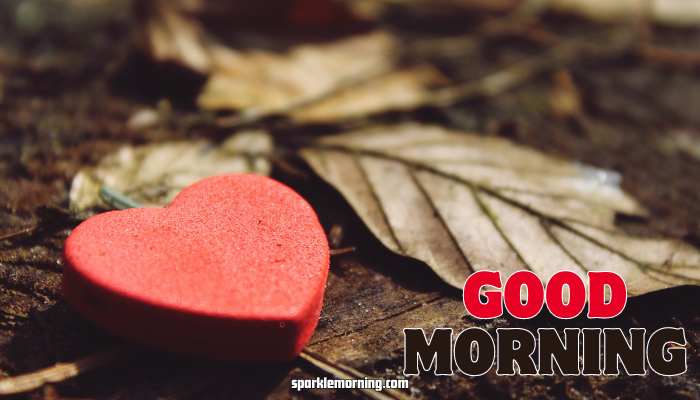 good morning heart images